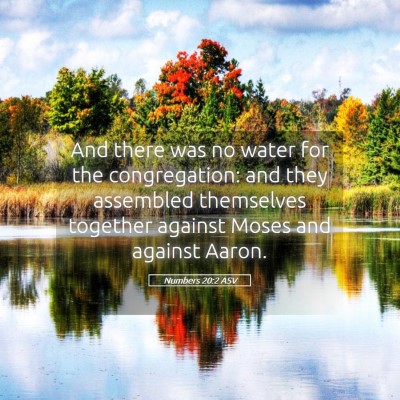 Picture 05 - Numbers 20:2 ASV - And there was no water for the congregation: and - Bible Verse Picture
