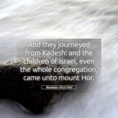 Picture 05 - Numbers 20:22 ASV - And they journeyed from Kadesh: and the children - Bible Verse Picture