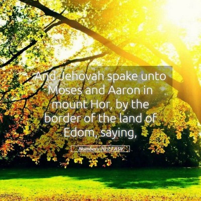 Picture 05 - Numbers 20:23 ASV - And Jehovah spake unto Moses and Aaron in mount - Bible Verse Picture