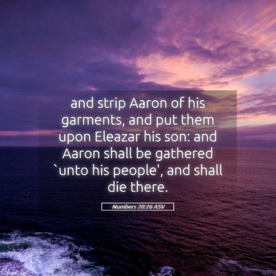 Picture 05 - Numbers 20:26 ASV - and strip Aaron of his garments, and put them - Bible Verse Picture