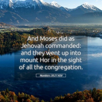 Picture 05 - Numbers 20:27 ASV - And Moses did as Jehovah commanded: and they went - Bible Verse Picture