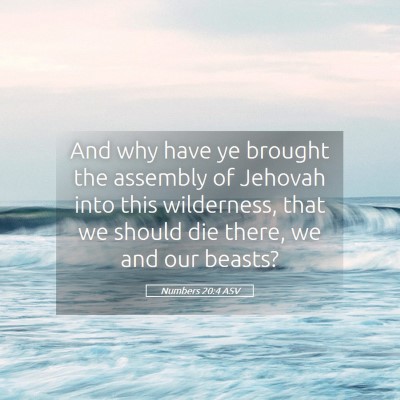 Picture 05 - Numbers 20:4 ASV - And why have ye brought the assembly of Jehovah - Bible Verse Picture