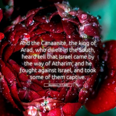 Picture 05 - Numbers 21:1 ASV - And the Canaanite, the king of Arad, who dwelt in - Bible Verse Picture