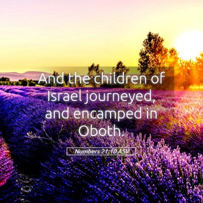 Picture 05 - Numbers 21:10 ASV - And the children of Israel journeyed, and - Bible Verse Picture