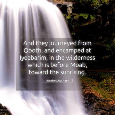 Picture 05 - Numbers 21:11 ASV - And they journeyed from Oboth, and encamped at - Bible Verse Picture