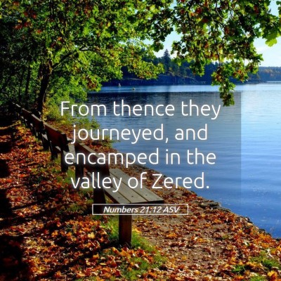 Picture 05 - Numbers 21:12 ASV - From thence they journeyed, and encamped in the - Bible Verse Picture