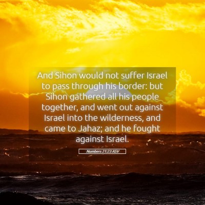 Picture 05 - Numbers 21:23 ASV - And Sihon would not suffer Israel to pass through - Bible Verse Picture