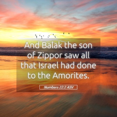 Picture 05 - Numbers 22:2 ASV - And Balak the son of Zippor saw all that Israel - Bible Verse Picture