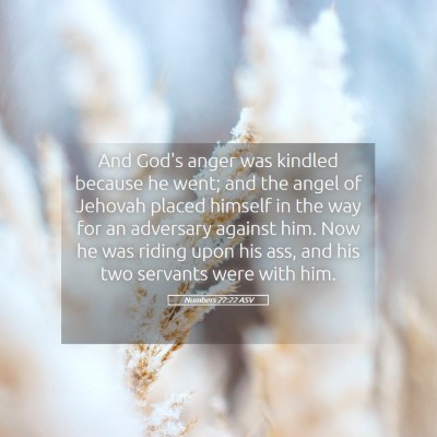 Picture 05 - Numbers 22:22 ASV - And God's anger was kindled because he went; and - Bible Verse Picture