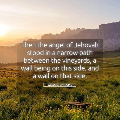 Picture 05 - Numbers 22:24 ASV - Then the angel of Jehovah stood in a narrow path - Bible Verse Picture