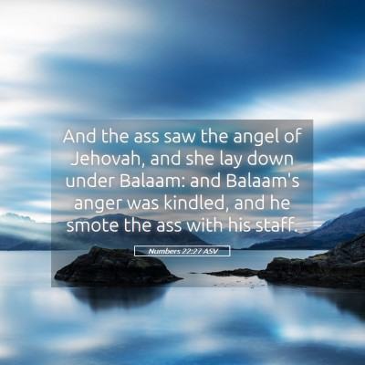 Picture 05 - Numbers 22:27 ASV - And the ass saw the angel of Jehovah, and she lay - Bible Verse Picture