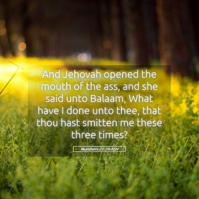 Picture 05 - Numbers 22:28 ASV - And Jehovah opened the mouth of the ass, and she - Bible Verse Picture