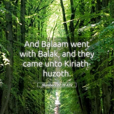 Picture 05 - Numbers 22:39 ASV - And Balaam went with Balak, and they came unto - Bible Verse Picture