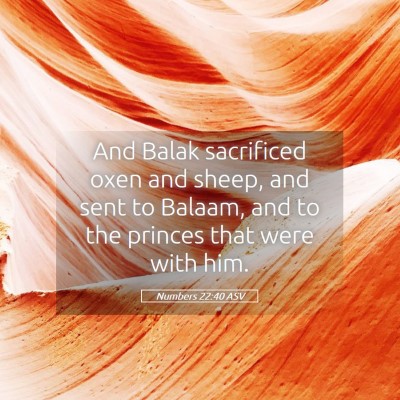 Picture 05 - Numbers 22:40 ASV - And Balak sacrificed oxen and sheep, and sent to - Bible Verse Picture