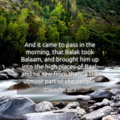 Picture 05 - Numbers 22:41 ASV - And it came to pass in the morning, that Balak - Bible Verse Picture