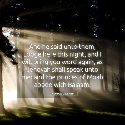Picture 05 - Numbers 22:8 ASV - And he said unto them, Lodge here this night, and - Bible Verse Picture