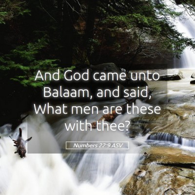 Picture 05 - Numbers 22:9 ASV - And God came unto Balaam, and said, What men are - Bible Verse Picture