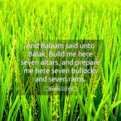 Picture 05 - Numbers 23:1 ASV - And Balaam said unto Balak, Build me here seven - Bible Verse Picture