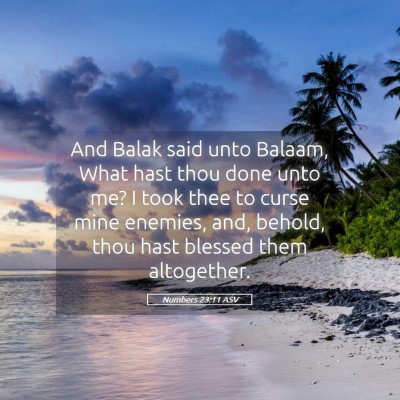 Picture 05 - Numbers 23:11 ASV - And Balak said unto Balaam, What hast thou done - Bible Verse Picture