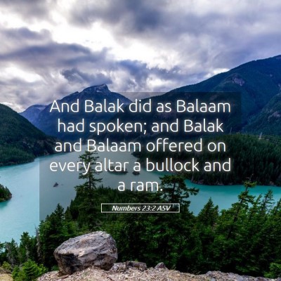Picture 05 - Numbers 23:2 ASV - And Balak did as Balaam had spoken; and Balak and - Bible Verse Picture