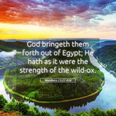 Picture 05 - Numbers 23:22 ASV - God bringeth them forth out of Egypt; He hath as - Bible Verse Picture