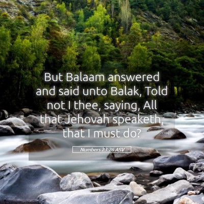 Picture 05 - Numbers 23:26 ASV - But Balaam answered and said unto Balak, Told not - Bible Verse Picture
