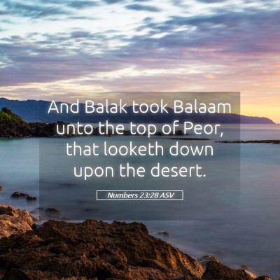Picture 05 - Numbers 23:28 ASV - And Balak took Balaam unto the top of Peor, that - Bible Verse Picture