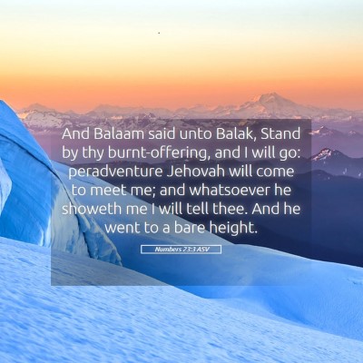 Picture 05 - Numbers 23:3 ASV - And Balaam said unto Balak, Stand by thy - Bible Verse Picture