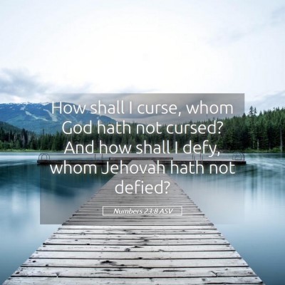 Picture 05 - Numbers 23:8 ASV - How shall I curse, whom God hath not cursed? And - Bible Verse Picture
