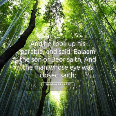 Picture 05 - Numbers 24:15 ASV - And he took up his parable, and said, Balaam the - Bible Verse Picture