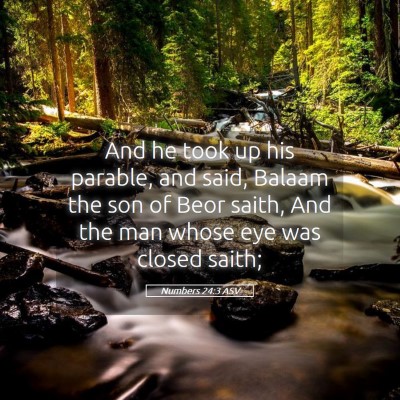 Picture 05 - Numbers 24:3 ASV - And he took up his parable, and said, Balaam the - Bible Verse Picture