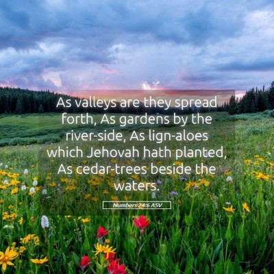 Picture 05 - Numbers 24:6 ASV - As valleys are they spread forth, As gardens by - Bible Verse Picture