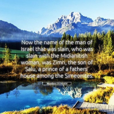Picture 05 - Numbers 25:14 ASV - Now the name of the man of Israel that was slain, - Bible Verse Picture