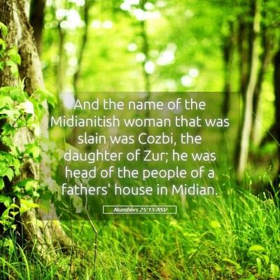 Picture 05 - Numbers 25:15 ASV - And the name of the Midianitish woman that was - Bible Verse Picture