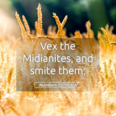 Picture 05 - Numbers 25:17 ASV - Vex the Midianites, and smite - Bible Verse Picture