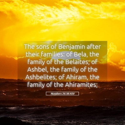 Picture 05 - Numbers 26:38 ASV - The sons of Benjamin after their families: of - Bible Verse Picture