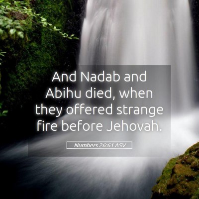 Picture 05 - Numbers 26:61 ASV - And Nadab and Abihu died, when they offered - Bible Verse Picture