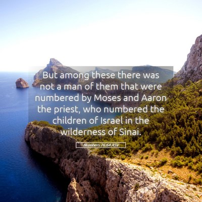 Picture 05 - Numbers 26:64 ASV - But among these there was not a man of them that - Bible Verse Picture