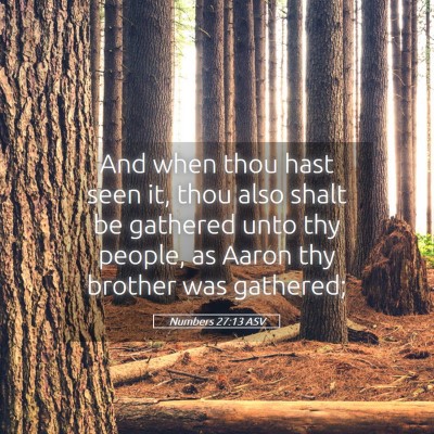 Picture 05 - Numbers 27:13 ASV - And when thou hast seen it, thou also shalt be - Bible Verse Picture