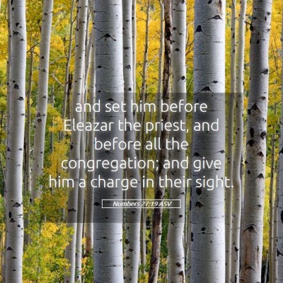 Picture 05 - Numbers 27:19 ASV - and set him before Eleazar the priest, and before - Bible Verse Picture