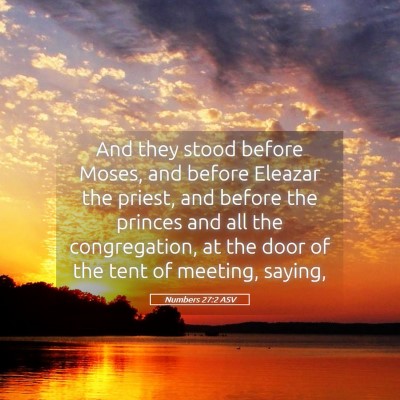 Picture 05 - Numbers 27:2 ASV - And they stood before Moses, and before Eleazar - Bible Verse Picture