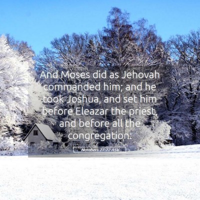 Picture 05 - Numbers 27:22 ASV - And Moses did as Jehovah commanded him; and he - Bible Verse Picture
