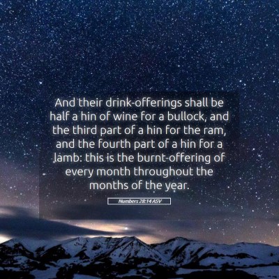 Picture 05 - Numbers 28:14 ASV - And their drink-offerings shall be half a hin of - Bible Verse Picture