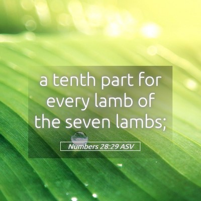 Picture 05 - Numbers 28:29 ASV - a tenth part for every lamb of the seven - Bible Verse Picture