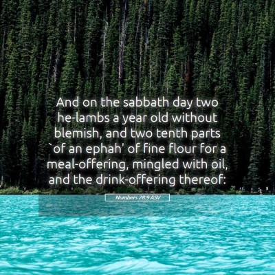 Picture 05 - Numbers 28:9 ASV - And on the sabbath day two he-lambs a year old - Bible Verse Picture