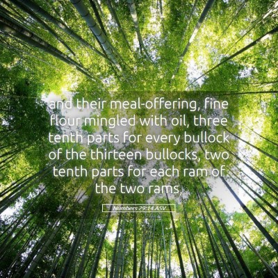 Picture 05 - Numbers 29:14 ASV - and their meal-offering, fine flour mingled with - Bible Verse Picture