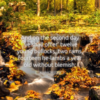 Picture 05 - Numbers 29:17 ASV - And on the second day `ye shall offer' twelve - Bible Verse Picture