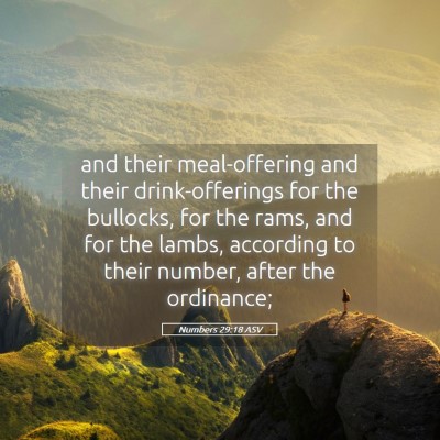 Picture 05 - Numbers 29:18 ASV - and their meal-offering and their drink-offerings - Bible Verse Picture