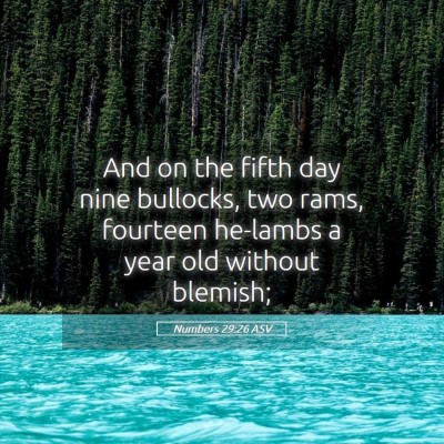 Picture 05 - Numbers 29:26 ASV - And on the fifth day nine bullocks, two rams, - Bible Verse Picture