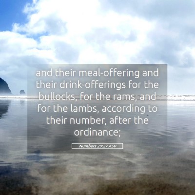 Picture 05 - Numbers 29:27 ASV - and their meal-offering and their drink-offerings - Bible Verse Picture